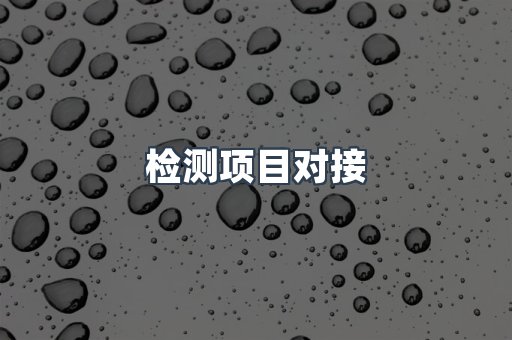 检测项目对接