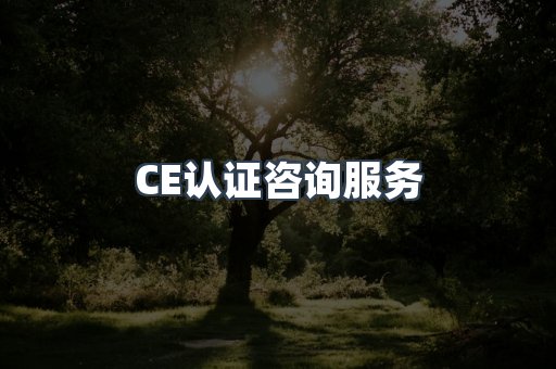 口罩防护类CE认证